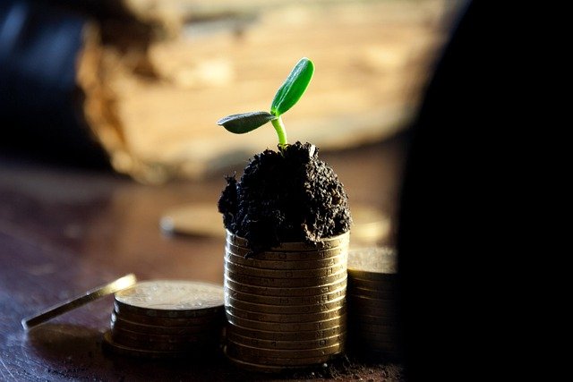 Descubra as melhores ações para receber dividendos mensais. Guia completo sobre setores perenes, preço teto e como viver de renda com juros altos.