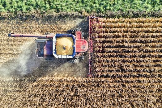  Quer receber dividendos isentos do campo? Saiba como funciona e veja se vale a pena Investir no Agronegócio através dos Fiagros na bolsa de valores.

